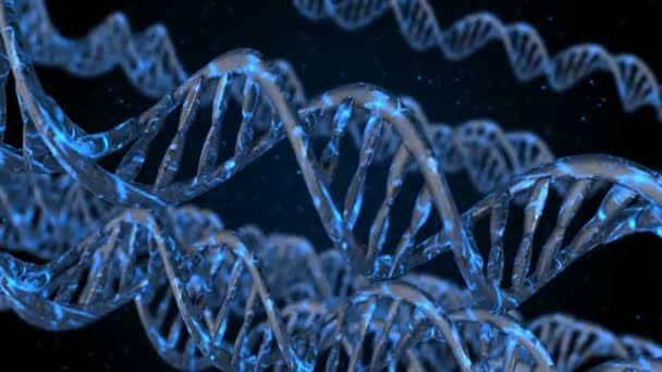 Dna Kodu Soyut Poligonal Tel Kafes Dna Molekülü Sarmal Spiral — Stok video