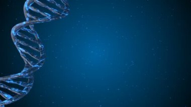 DNA kodu. Soyut 3d poligonal tel kafes Dna molekülü sarmal spiral. Döngü animasyonu.