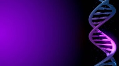 DNA kodu. Soyut 3d poligonal tel kafes Dna molekülü sarmal spiral. Döngü animasyonu.