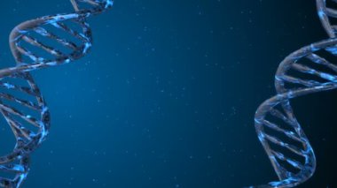 DNA kodu. Soyut 3d poligonal tel kafes Dna molekülü sarmal spiral. Döngü animasyonu.