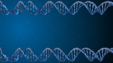 DNA kodu. Soyut 3d poligonal tel kafes Dna molekülü sarmal spiral. Döngü animasyonu.