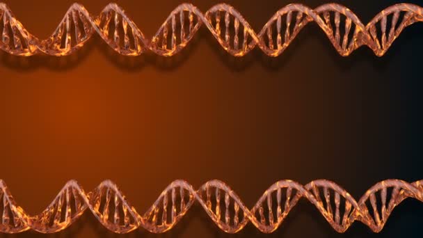 Dna代码摘要 多边形线框 Dna 分子螺旋螺旋 循环动画 — 图库视频影像