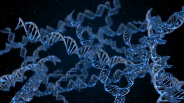 Dna Code Abstracte Veelhoekige Wireframe Dna Molecuul Helix Spiraal Loop — Stockvideo