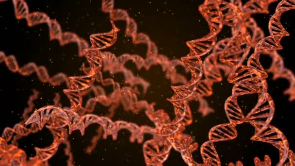 Codice Dna Astratto Poligonale Wireframe Dna Molecola Elica Spirale Animazione — Video Stock