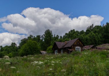 Eski ahşap kahverengi kır evi yeşil bir ormanın yanında duruyor, bir çit ve çitin yanında, mavi gökyüzü ve bulutların arkasında.