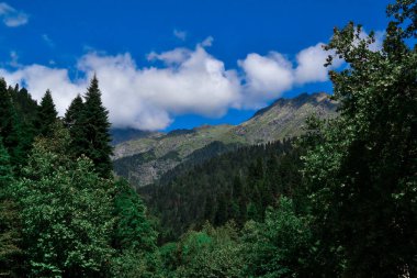 Güzel yeşil dağlar mavi gökyüzüne karşı yeşil ağaçlar 