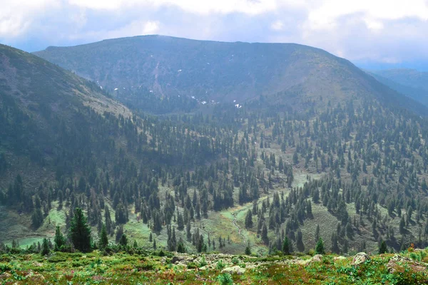 Zbocze Kamienia Górskiego Porośnięte Trawą Mchu Krzewami Drzewami Zielonych Górach — Zdjęcie stockowe
