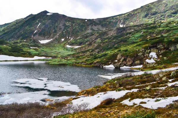 Berghelling Begroeid Met Mos Gras Struiken Bomen Baikal Groene Bergen — Stockfoto