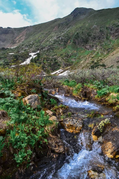 Encosta Pedra Montanha Coberto Com Grama Musgo Arbustos Árvores Nas — Fotografia de Stock