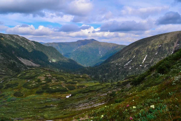 Berghelling Begroeid Met Mos Gras Struiken Bomen Baikal Groene Bergen — Stockfoto