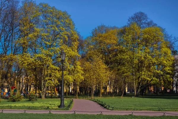 path in the park among the trees with yellow golden green foliage leaves in the light of the sun on the background of city architecture on the background of blue sky in spring