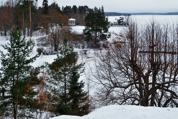 Kış köknar ağaçları arka planda antika bir tarlada, donmuş gölün beyaz karında sisli soğuk bir sabahta bir ormanla birlikte, Vyborg,