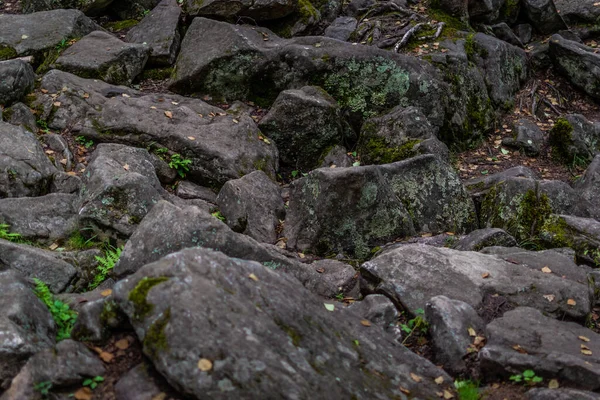 Grande Cinza Áspero Texturizado Lascado Pedras Com Musgo Grama Verde — Fotografia de Stock