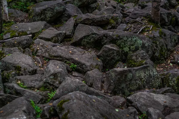 Grande Grande Cinza Áspero Texturizado Lascado Pedras Com Musgo Grama — Fotografia de Stock