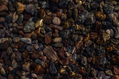 parlak renkli mavi altın küçük çakıl taşları berrak sularda parıldıyor ışıkta, sahil gölü baykal