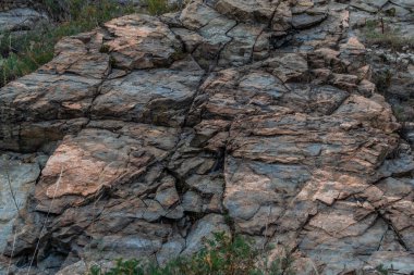 Çimenlerdeki dokulu katmanlı taşların üzerindeki açık mavi yosun.