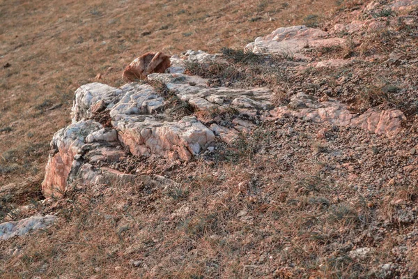 Licht Stapel Stenen Rots Staat Droog Gras Baikal Steppe Het — Stockfoto