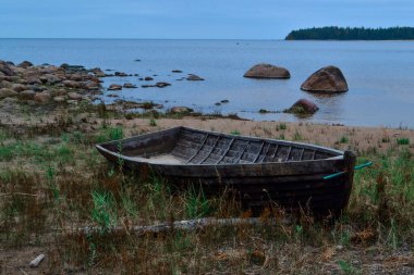Ladoga Gölü 'nün kumlu taşlı kıyısında, ufukta orman olan eski ahşap bir tekne.