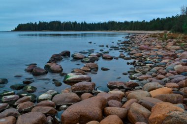 Sonbaharda Ladoga Gölü 'nün mavi körfezinin kumlu kırmızı taşları, ufukta ağaçlar.