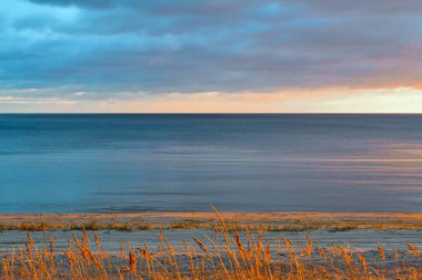 Ladoga Gölü kıyısında gün batımında parlayan kırmızı turuncu sarı çimen kulakları, bulutlar.
