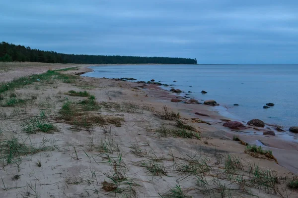 Sandy pebble shore with stones and grass of blue bay of Ladoga Lake in autumn, with trees on the horizon — Stock Image Sandy Pebble Shore Stones Grass Blue Bay Ladoga Lake Autumn Stock Image