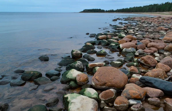 Sandy stones shore with rocks of blue bay of Ladoga Lake in autumn, with trees on the horizon — Stock Image Sandy Stones Shore Rocks Blue Bay Ladoga Lake Autumn Trees Stock Photo