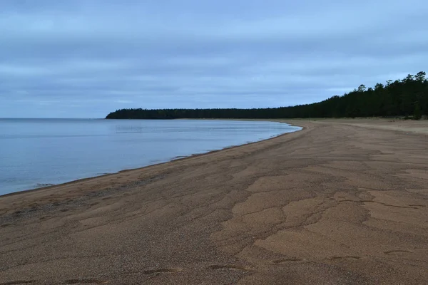 Sandy shore of blue bay of Ladoga Lake in autumn, with trees on the horizon — Stock Image Sandy Shore Blue Bay Ladoga Lake Autumn Trees Horizon Royalty Free Stock Images