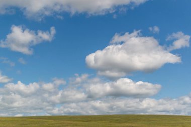 Mavi gökyüzünde yeşil çimen tarlası ve açık alanda beyaz, tüylü bulutlar.
