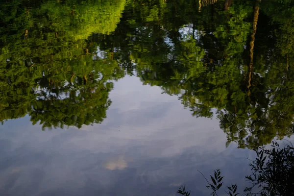 Arbres Verts Reflétés Dans Étang Miroir Ciel Bleu Avec Des — Photo