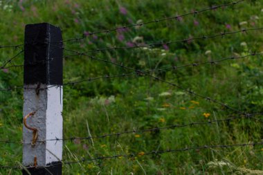 Dikenli telleri olan siyah ve beyaz çizgili çitler yoğun çimlerde duruyor ve tarlada çiçekler var.