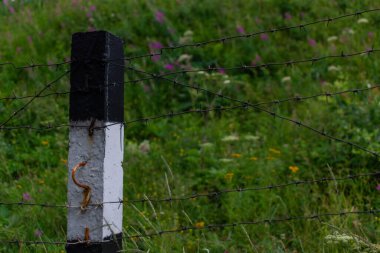Siyah ve beyaz çizgili çit direği, dikenli telli sütun yeşil tarlada çiçeklerle dolu yoğun çimlerde duruyor.