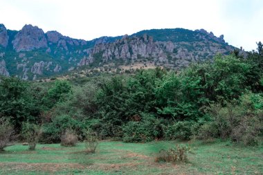 Kırım 'daki Demerji Dağı' nın Hayaletler Vadisi 'ndeki yüksek kaya sütunları. Yeşil çalılar, ön planda ağaçlar. Dünyada eşi benzeri olmayan bir yer
