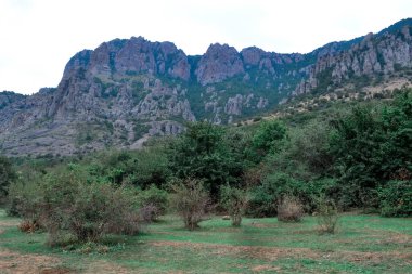 Hava sisi içinde yuvarlak şekilli antik kireçtaşı dağları. Hayaletler Vadisi. Demerdzhi(Demerji). Ön planda yeşil çalılar