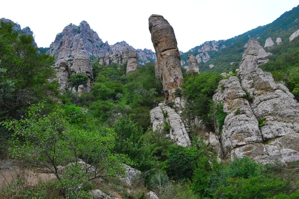 Antik kireçtaşı yüksek dağları, yuvarlak şekilli hava sisi. Hayaletler Vadisi. Demerdzhi(Demerji). Önde yeşil ağaçlar ve çalılar var. alt görünüm