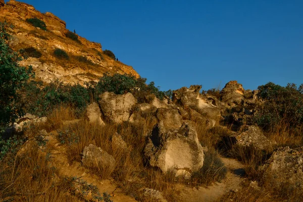 Pierres Sablonneuses Jaunes Rouges Sur Falaise Fiolent Avec Des Buissons — Photo