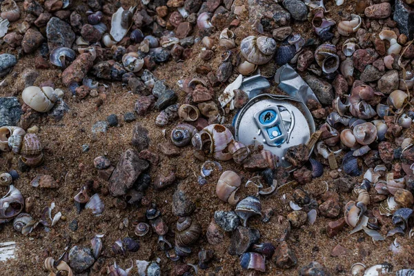 ゴミ飲料は 多くの小さな多色の青ピンクの紫色の川の貝殻や小石の間でバルト海の海岸の砂の中にあることができますパターン — ストック写真