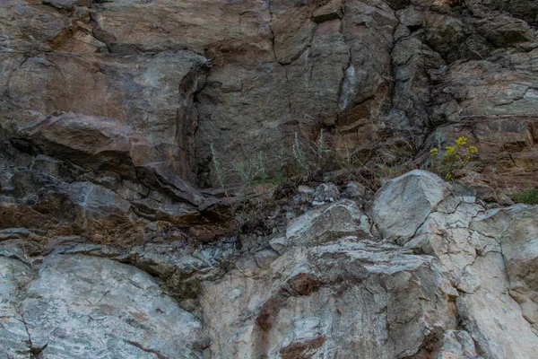 粗糙的石质岩石 米黄色的棕色悬崖 绿草和黄花 不同层次的板 贝加尔山 — 图库照片