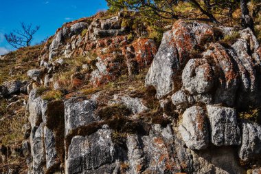 Kırmızı desenli taş yosunlar ve kuru otlar. Gün batımının ılık parlak ışığında. Mavi gökyüzü. Baykal doğası