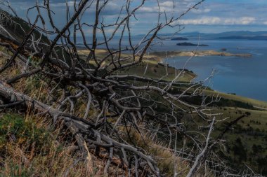 Yangından sonra dalları bükülen kurumuş çıplak ağaç, dağın yamacındaki yeşil sarı çimlere düştü. Mavi Baykal Gölü. Gökyüzü bulutlu, dağlar ufukta. Sibirya Doğa Alanı