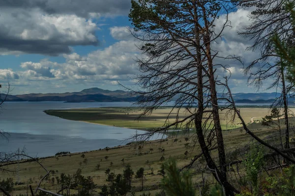 Pohon Setelah Api Rumput Kuning Hijau Lereng Gunung Danau Baikal — Stok Foto