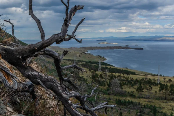 Cabang Gelap Telanjang Pohon Terbakar Terhadap Latar Belakang Danau Biru — Stok Foto