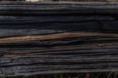 Fibröz parçalanmış ağaç gövdesi. Çizgiler. Çatlaklar