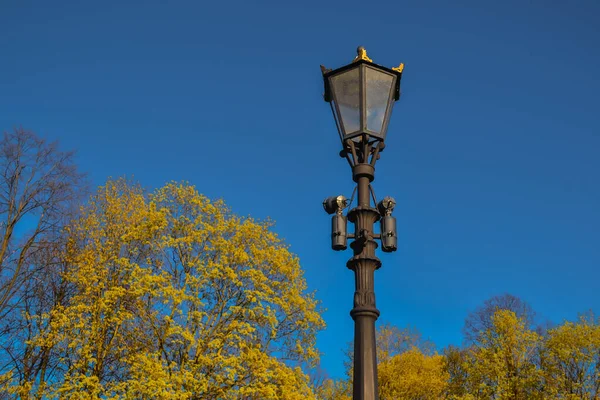 Alte Schwarze Deko Laterne Mit Glaslampen Auf Säule Mast Leuchtend — Stockfoto