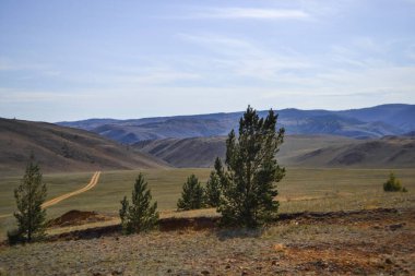 Tepeler ve yeşil çimlerle kaplı dağların arasında bozkırda yol. Baykal doğası. Dağ sıraları. Ön planda ağaçlar
