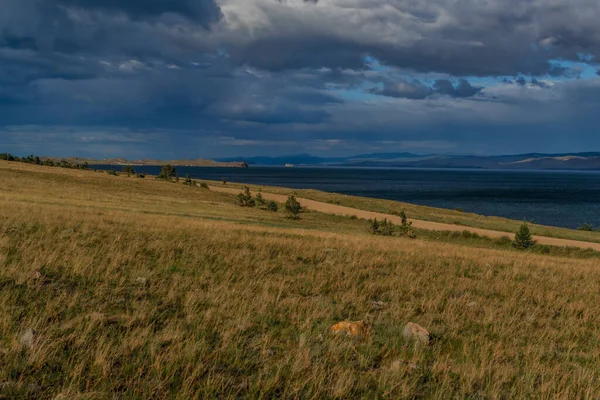 stock image Coniferous green pine trees stands on yellow grassy coast of blue lake Baikal against background of mountains. Summer landscape in sunset light