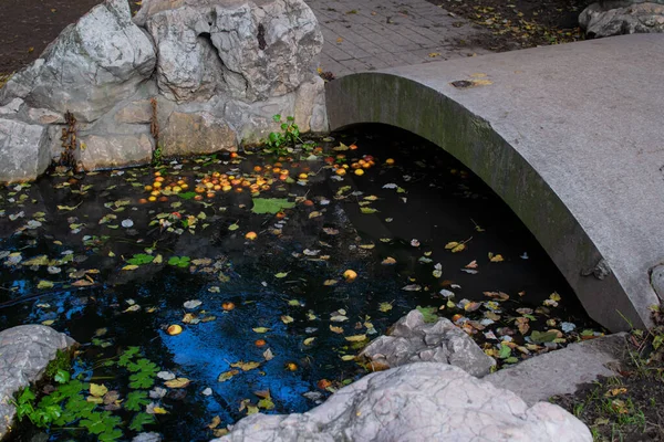 Étang Automne Entre Pierres Rochers Avec Petit Pont Léger Eau — Photo