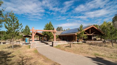 Çift tepeli Karabatak Kaya 'ya Tünemiş