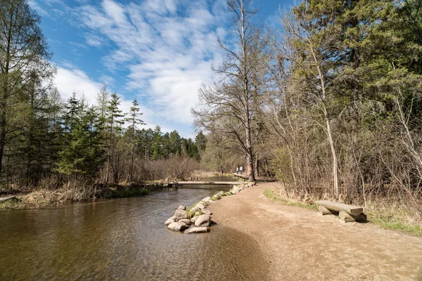 Pierwszy Most Nad Rzeką Mississippi Parku Stanowym Itasca Minnesocie — Zdjęcie stockowe