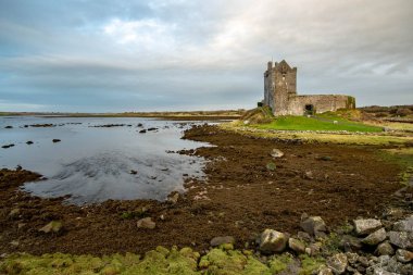 İrlanda 'da Galway Körfezi' ndeki Dungaire Kalesi ve Tower House