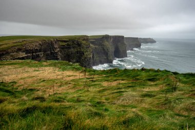 İrlanda 'daki Moher Kayalıkları